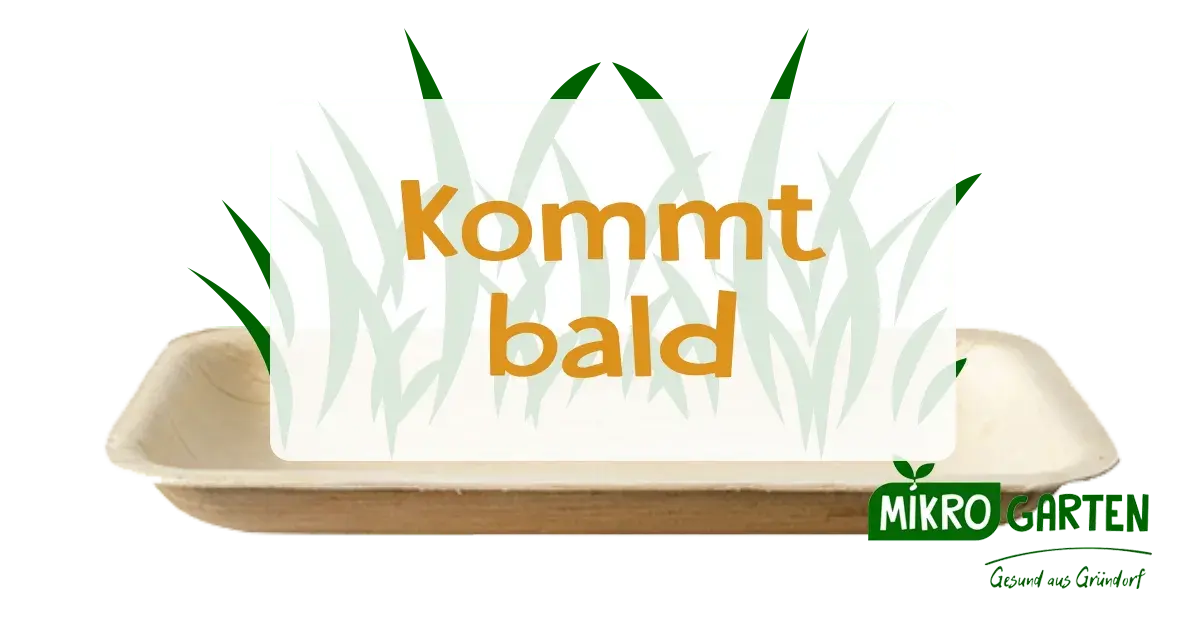Kommt Bald, in Wien Kaufen